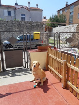 Studio apartman Danijela, Pula, Croatia