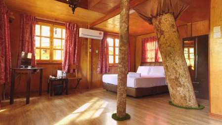 Borneo Tree House, Kota Kinabalu, Malaysia