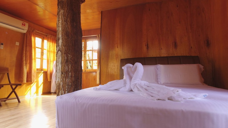 Borneo Tree House, Kota Kinabalu, Malaysia