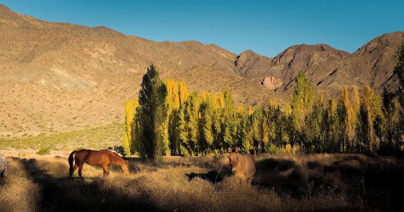 Valle Andino, Mendoza, Argentina