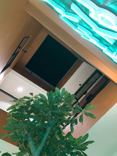 Chi Hieu Homestay, Bac Lieu, Vietnam
