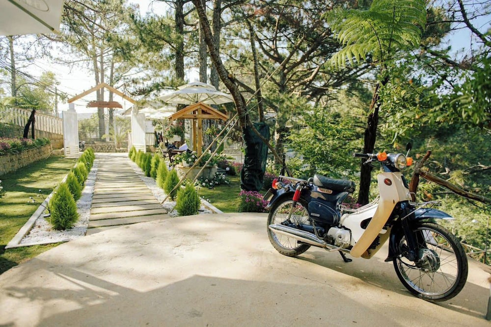 Dong Homestay, Vietnam