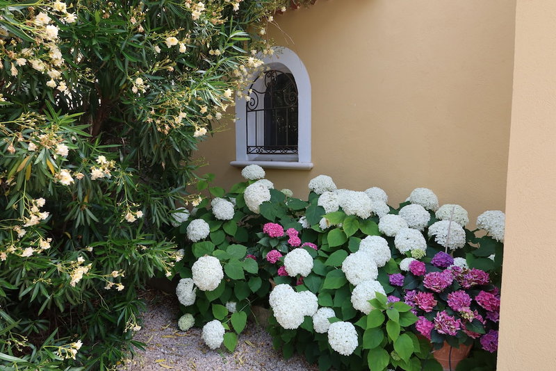 La Mylandre Chambre d'hôtes, Lancon-Provence, France