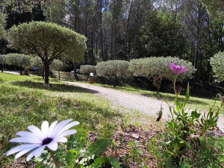 Le Mas des Oliviers, Salernes, France