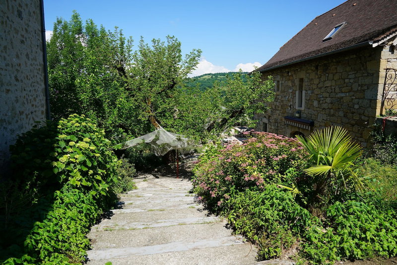 Le Mûrier de Viels, Causse-et-Diege, France