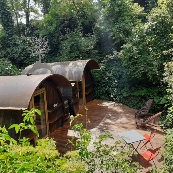 Foudres du Chêne du Py, Villié-Morgon, France