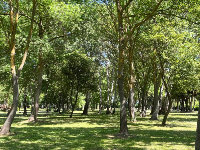 Domaine des Eucalyptus, Mollégès, France