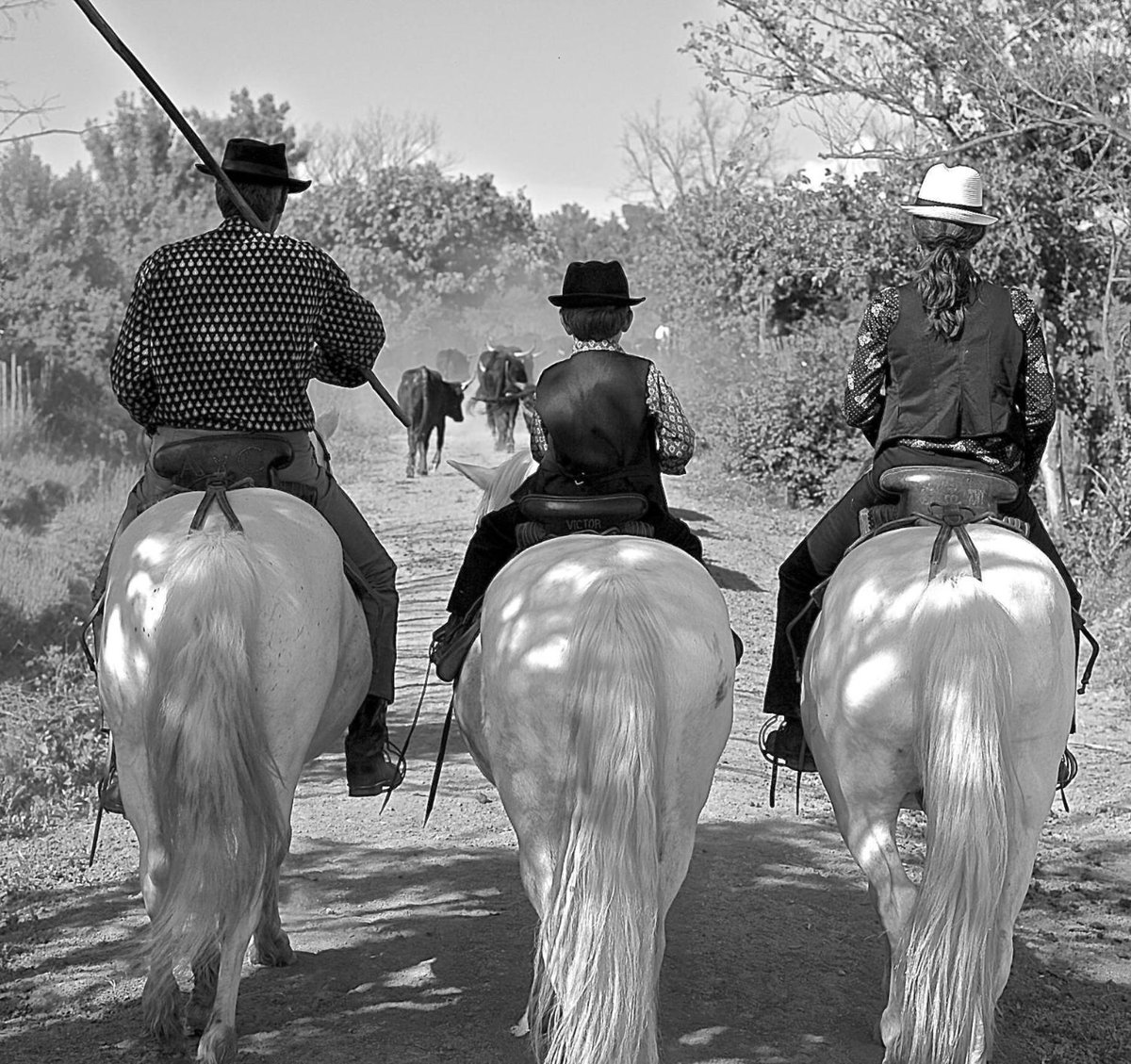 Mas du Menage en Camargue Manade Clauzel, France