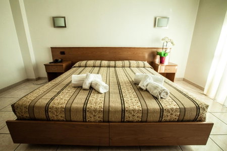 Hotel Davide, Rivoli, Italy