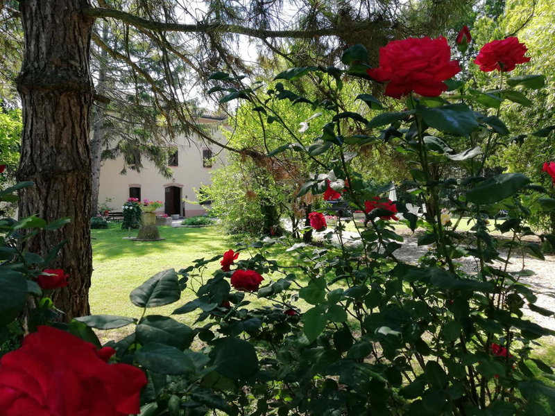 B&B Casa Manuela, Mantova, Italy