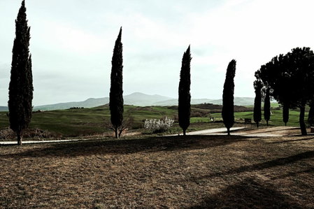 Agriturismo Il Casalino, Pienza, Italy