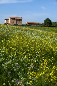 Casale Sterpeti, Magliano in Toscana, Italy