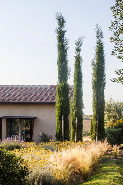 Casale Sterpeti, Magliano in Toscana, Italy