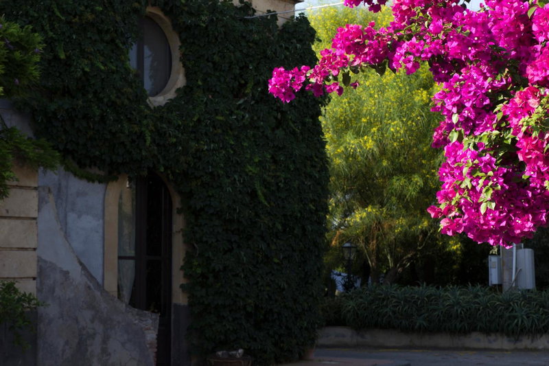 Tenuta del Gelso, Catania, Italy