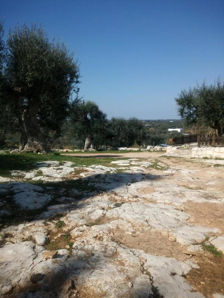 B & B Monte Adamo, Conversano, Italy