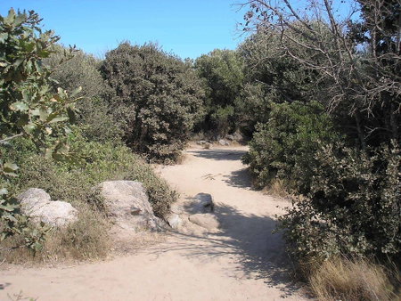 Villaggio Nurral - Campground, Alghero, Italy