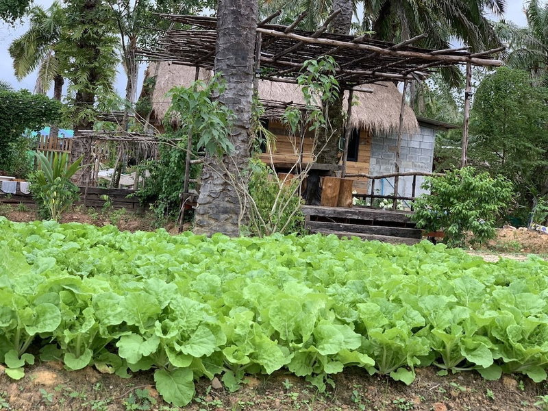 Amarit Onsen Homestay, Khlong Thom, Thailand