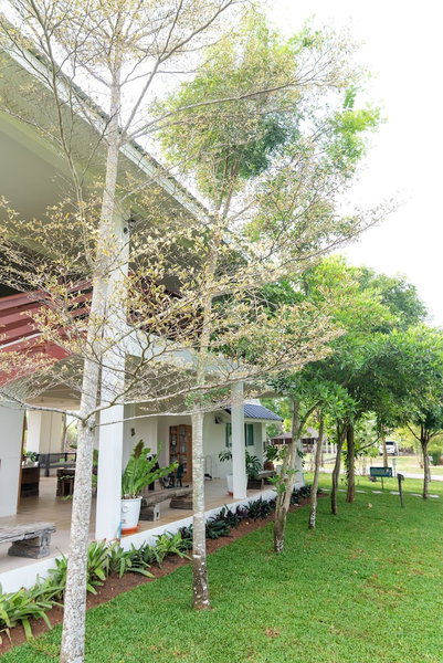 Green Me Organic Farm Khao Yai, Pak Chong, Thailand