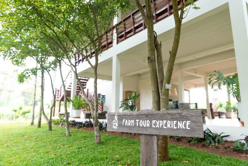 Green Me Organic Farm Khao Yai, Pak Chong, Thailand