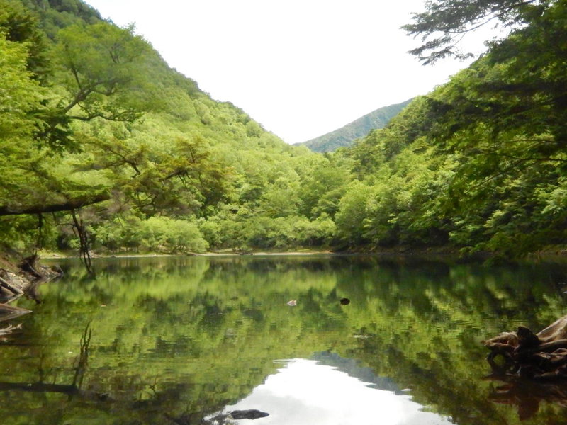 Nikko Astraea Hotel, Nikko, Japan