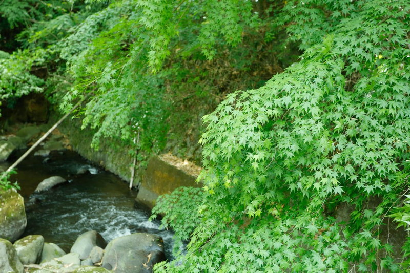 Hakuunsou, Yugawara, Japan