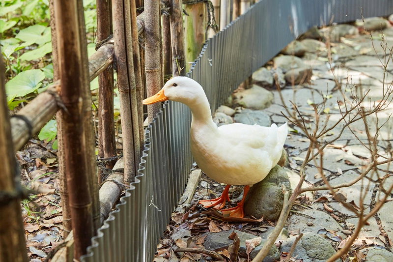 Gensen Itto Minamiizu, Minamiizu, Japan