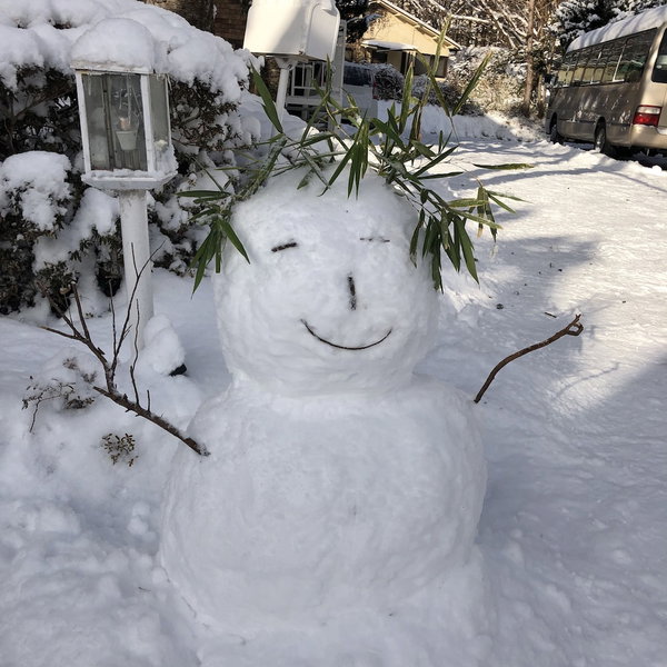 Nikko Ikoi Hotel, Nikko, Japan