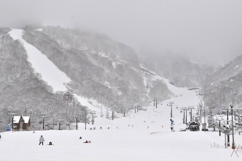 Pension Risuno Koya, Hakuba, Japan