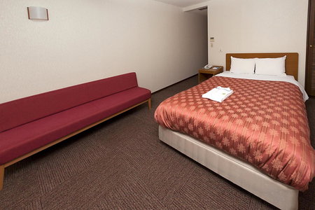 Kumegawa Wing Hotel, Higashi-murayama, Japan