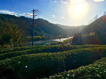Kappa Backpackers, Shimanto, Japan