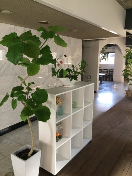 Guest House M104 Kagoshima, Kagoshima, Japan