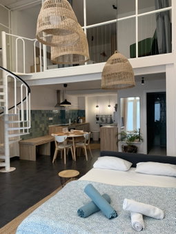 Alex- DUPLEX APARTMENT- City, Valencia, Spain
