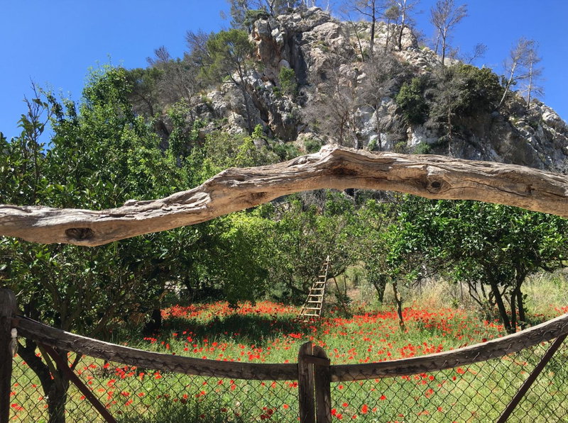 Finca Ses Fontanelles, Andratx, Spain