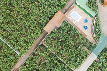 Hacienda La Dehesa (Only Adults), Buenavista del Norte, Spain