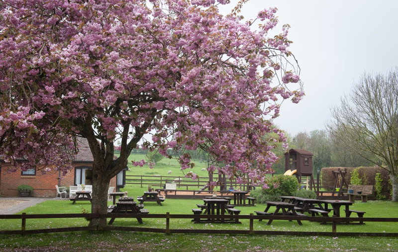 The Langton Arms, Blandford Forum, United Kingdom