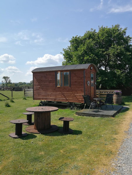 Sunny Mount Shepherd's Hut, Long Marton, United Kingdom