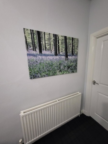 The Bluebell Guest House, Bridlington, United Kingdom