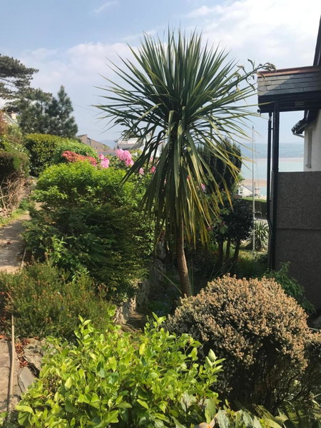 Brig-y-Don, Aberdyfi, United Kingdom