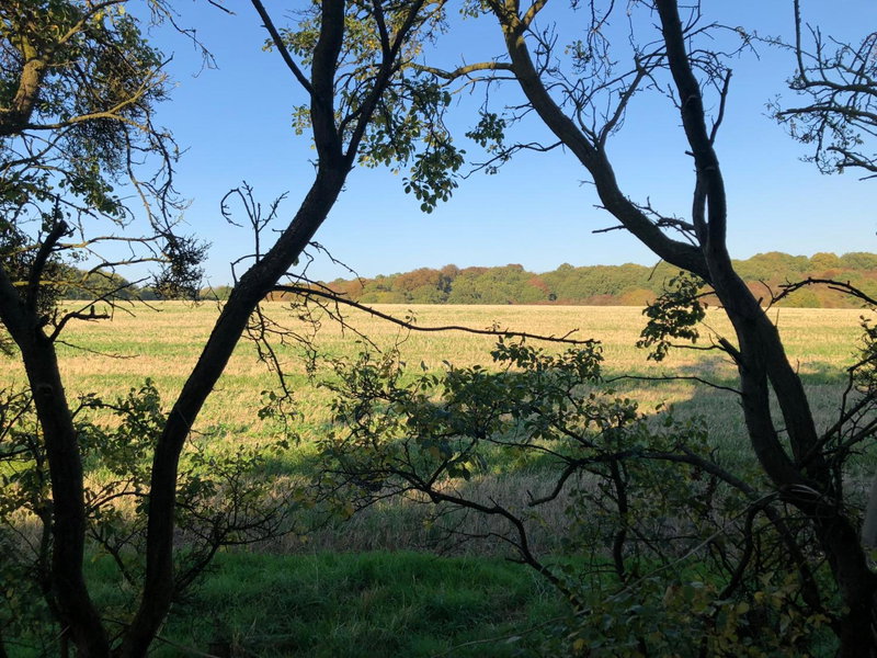 Old Hunters Lodge Whipsnade Limited, Whipsnade, United Kingdom