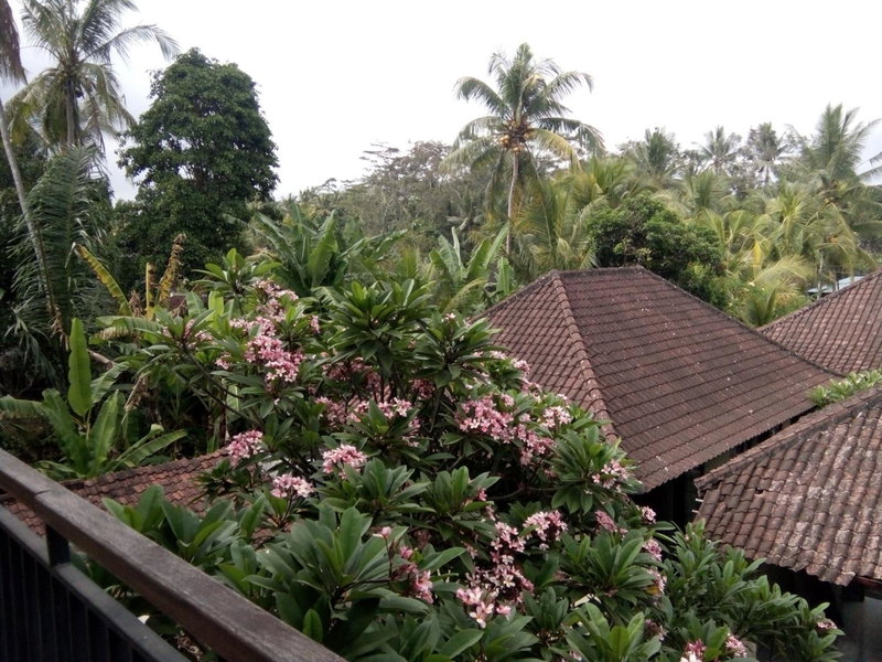 Manada Guest House, Ubud, Indonesia