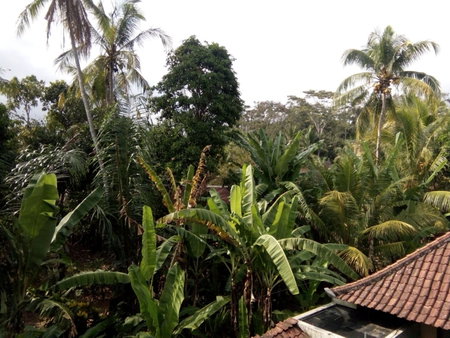 Manada Guest House, Ubud, Indonesia