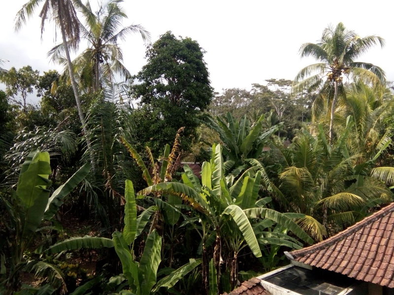 Manada Guest House, Ubud, Indonesia