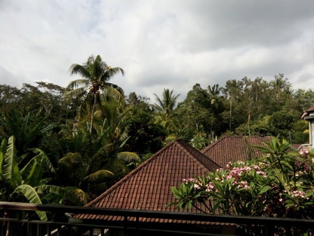 Manada Guest House, Ubud, Indonesia