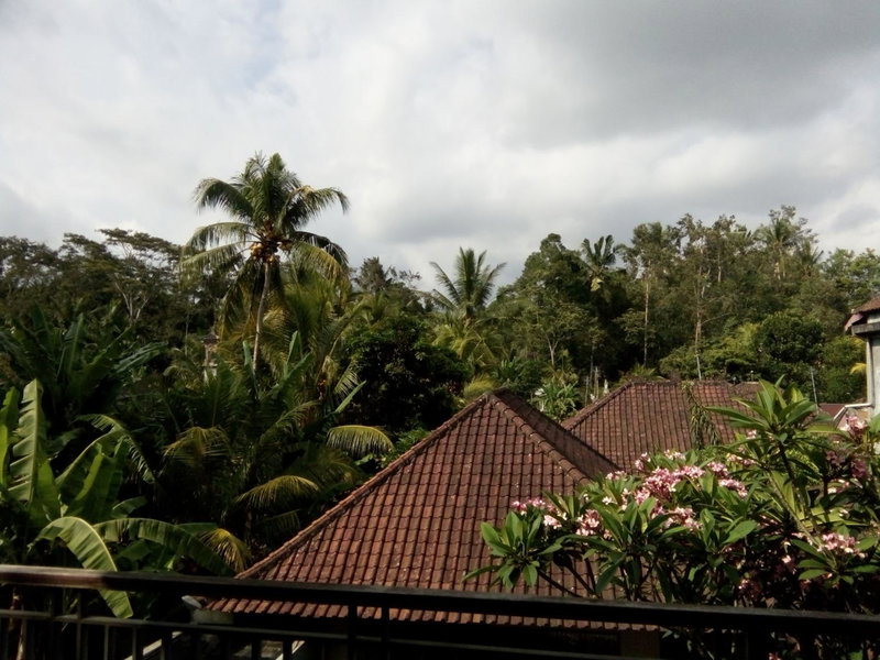 Manada Guest House, Ubud, Indonesia