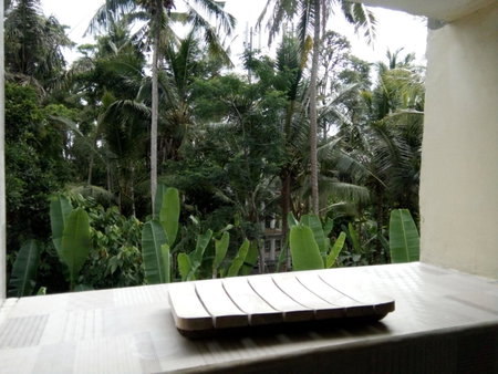 Manada Guest House, Ubud, Indonesia