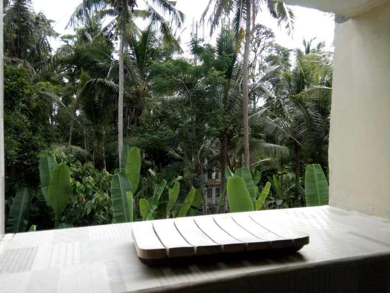 Manada Guest House, Ubud, Indonesia