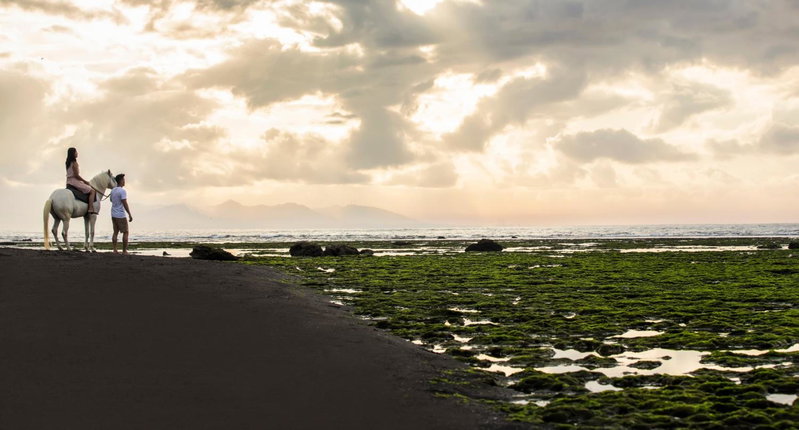 Jeeva Saba Bali, Saba, Indonesia