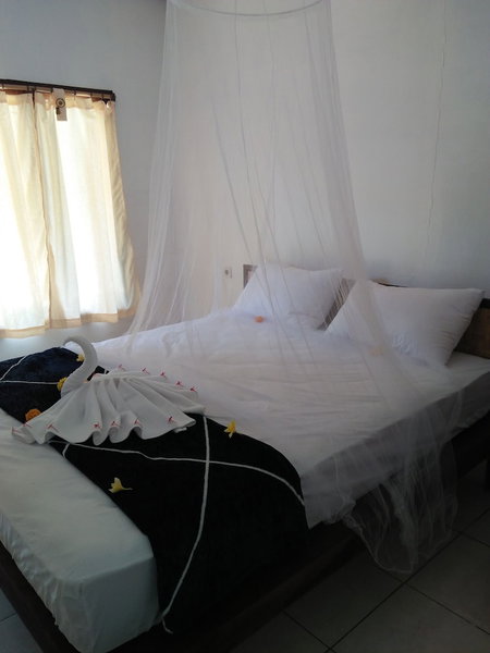 Taman Menjangan Homestay, Pejarakan, Indonesia
