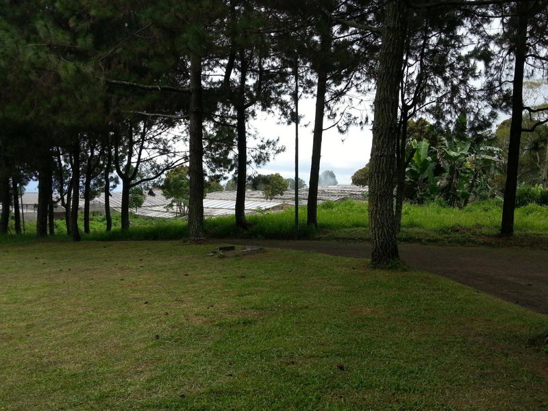 Villa 5cemara, Batureo 1, Indonesia