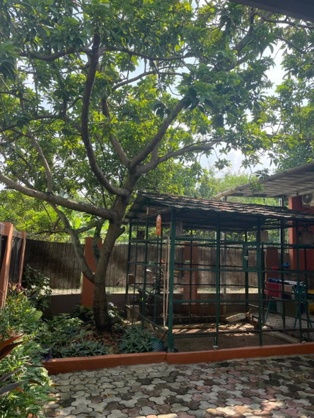 Bu Sur Homestay, Bogor, Indonesia